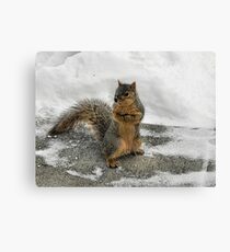 Brrrrrrr Have you seen my mittens? Canvas Print