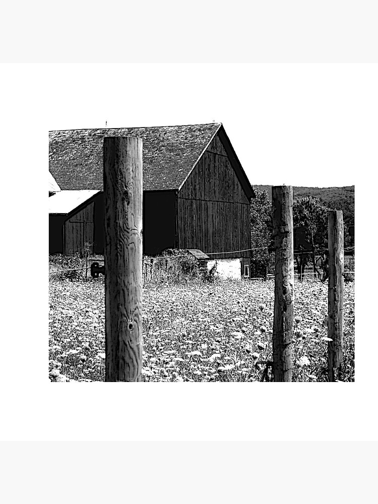 All the Queens Barn /Features Field of Queen Ann Lace/Fence by FranBail
