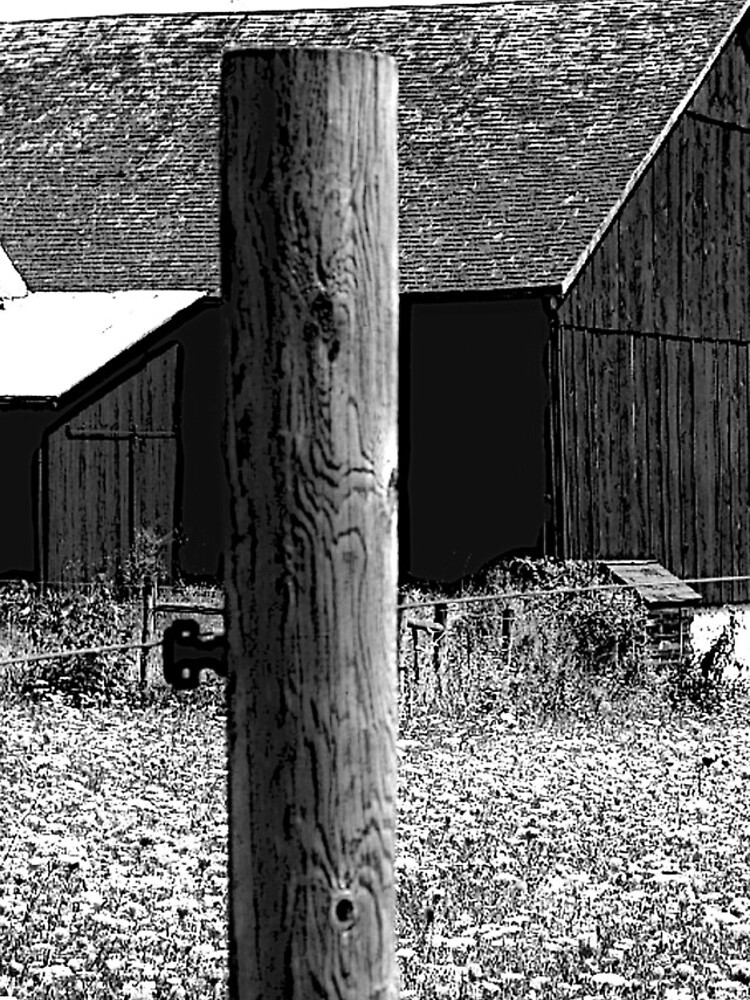 All the Queens Barn /Features Field of Queen Ann Lace/Fence by FranBail