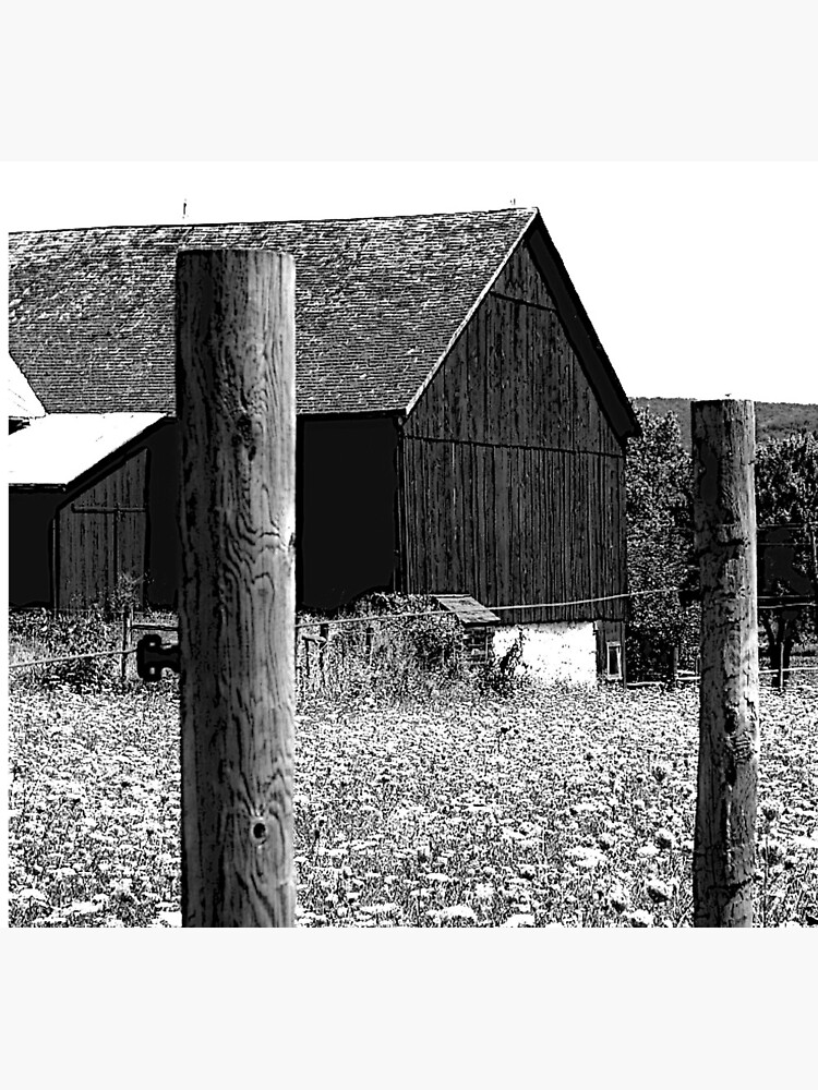 All the Queens Barn /Features Field of Queen Ann Lace/Fence by FranBail