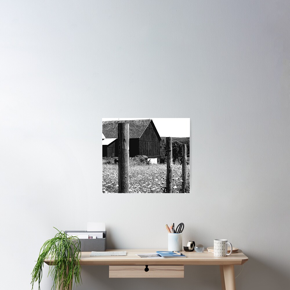 All the Queens Barn /Features Field of Queen Ann Lace/Fence Poster
