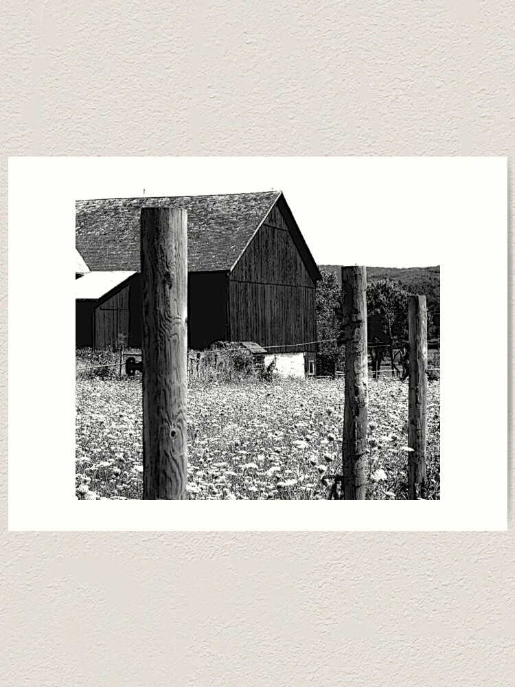 Alternate view of All the Queens Barn /Features Field of Queen Ann Lace/Fence Art Print