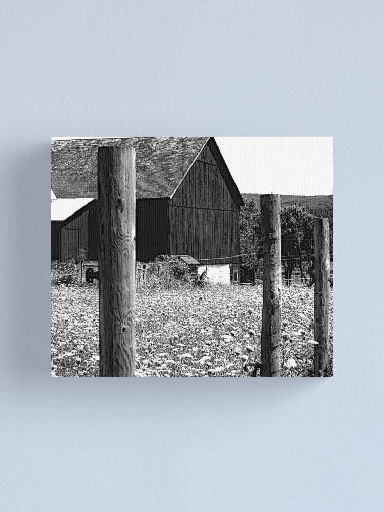 Alternate view of All the Queens Barn /Features Field of Queen Ann Lace/Fence Canvas Print