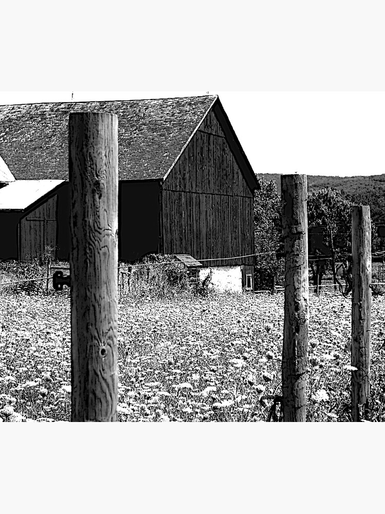 All the Queens Barn /Features Field of Queen Ann Lace/Fence by FranBail
