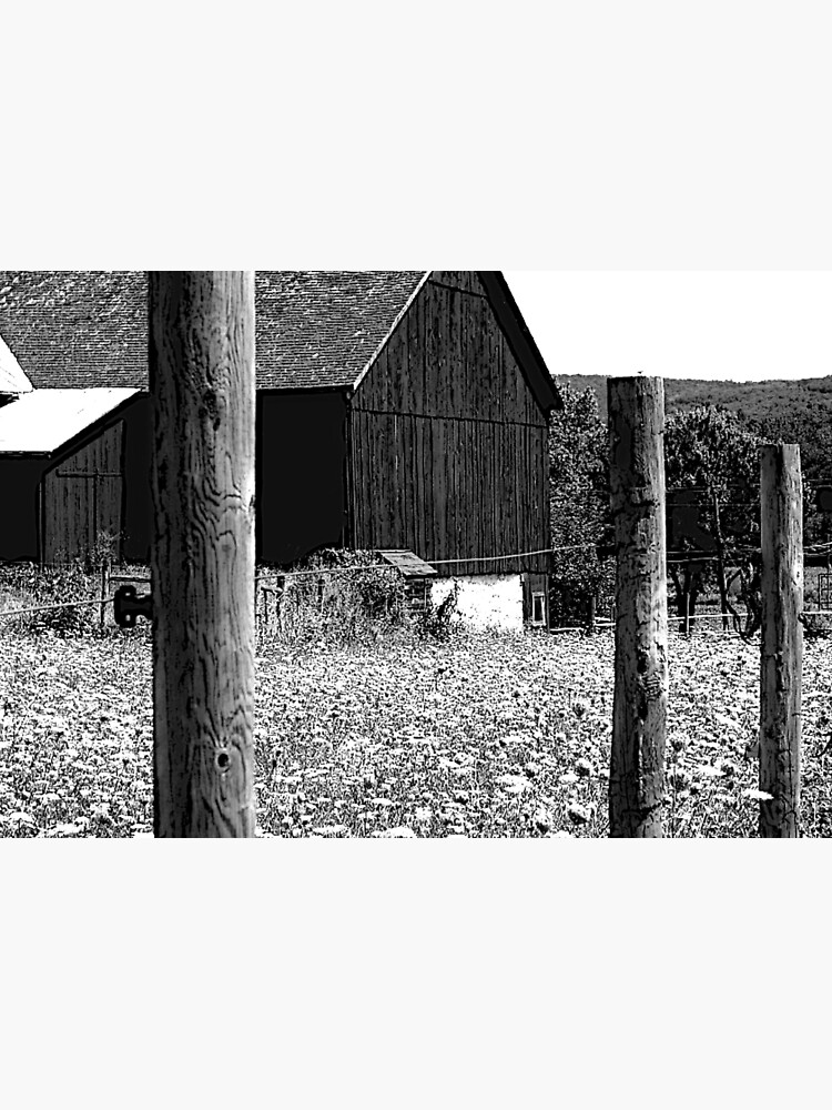 All the Queens Barn /Features Field of Queen Ann Lace/Fence by FranBail