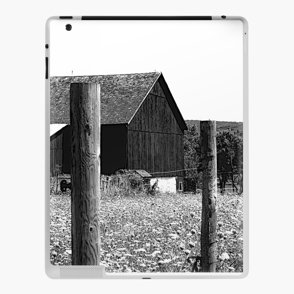 All the Queens Barn /Features Field of Queen Ann Lace/Fence iPad Case & Skin