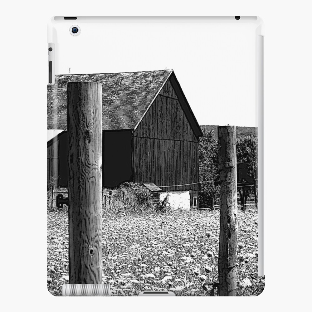 All the Queens Barn /Features Field of Queen Ann Lace/Fence iPad Case & Skin