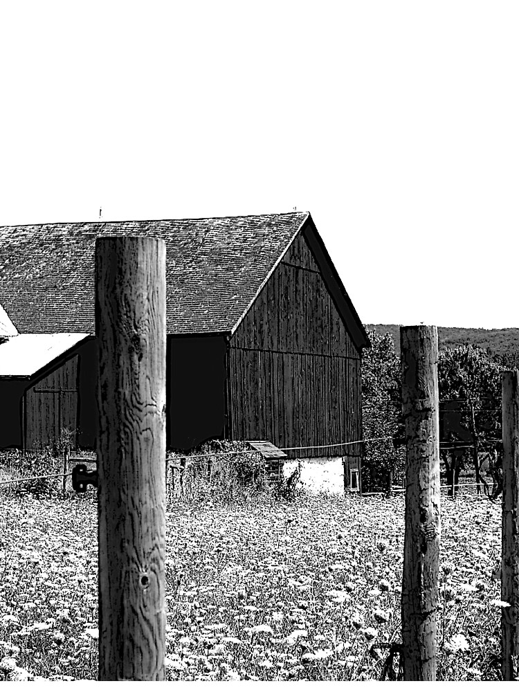 All the Queens Barn /Features Field of Queen Ann Lace/Fence by FranBail