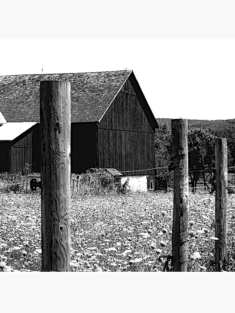 All the Queens Barn /Features Field of Queen Ann Lace/Fence by FranBail