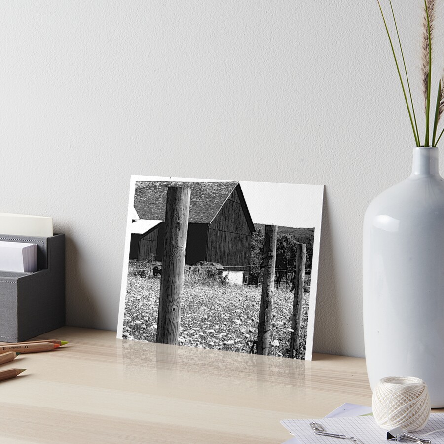 All the Queens Barn /Features Field of Queen Ann Lace/Fence Art Board Print
