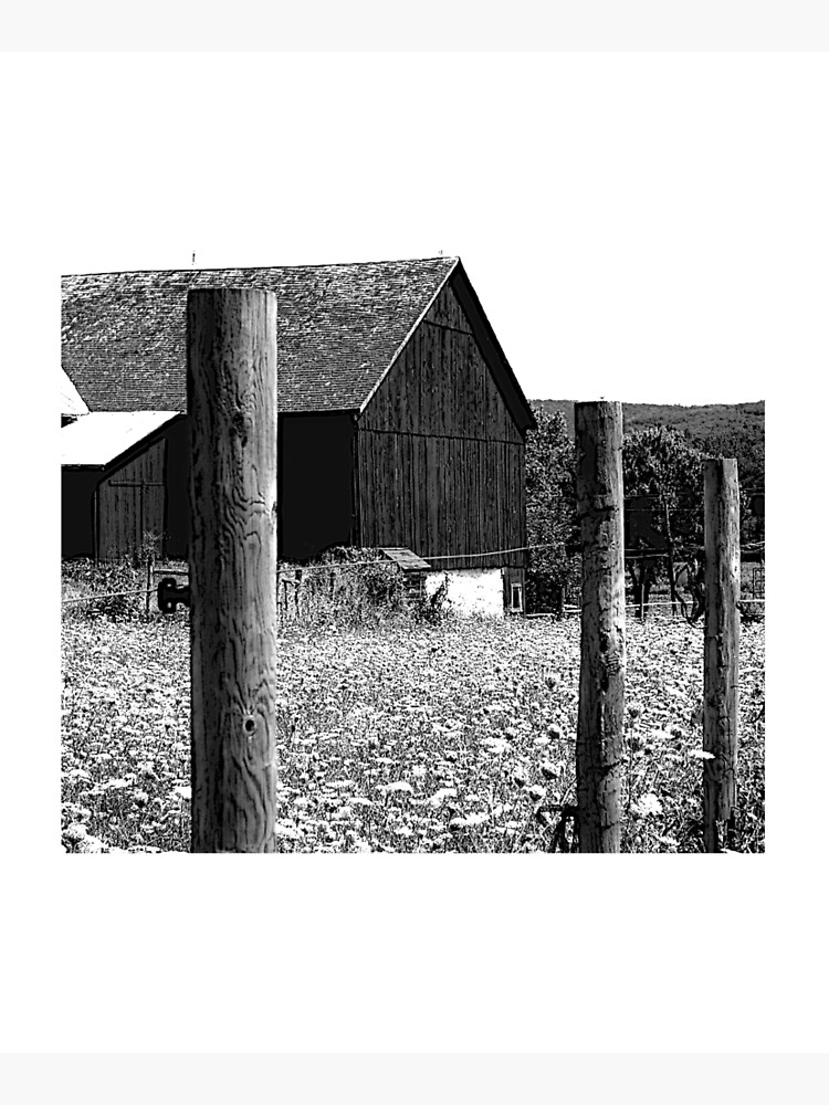 All the Queens Barn /Features Field of Queen Ann Lace/Fence by FranBail