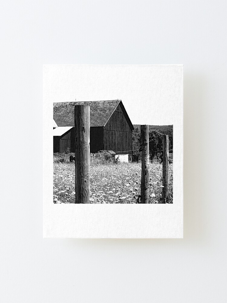 Alternate view of All the Queens Barn /Features Field of Queen Ann Lace/Fence Mounted Print