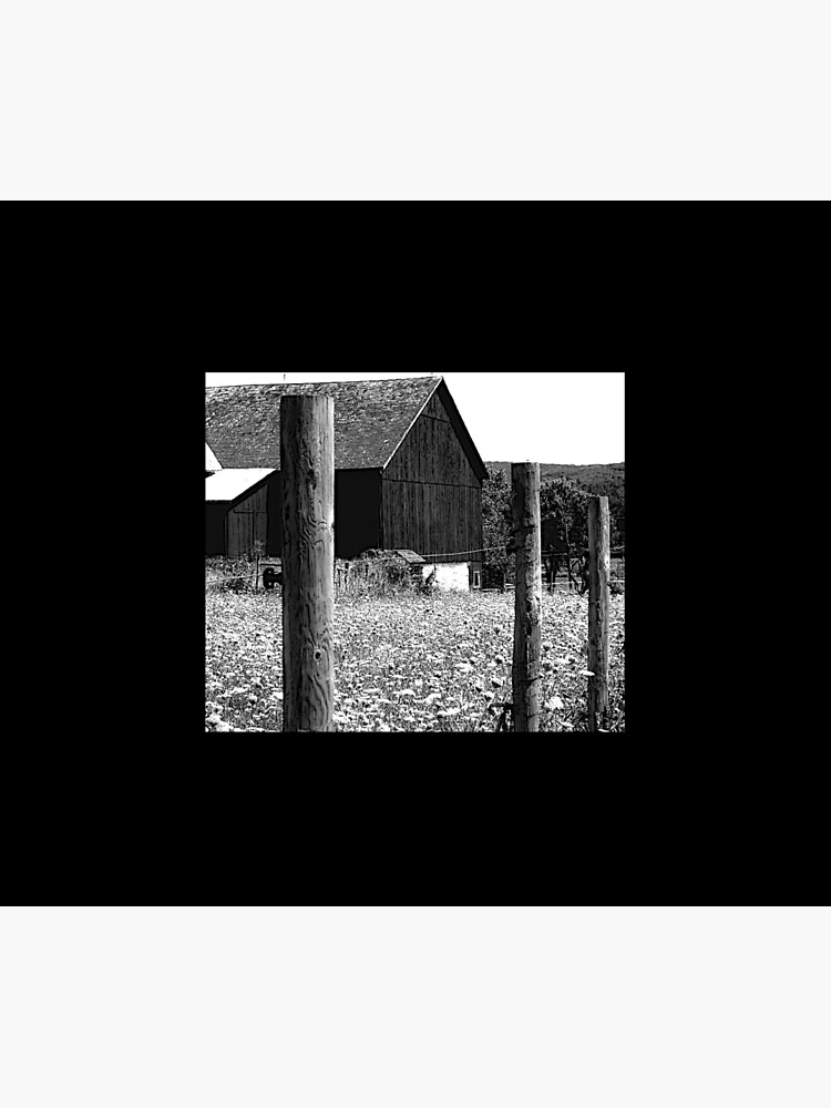 All the Queens Barn /Features Field of Queen Ann Lace/Fence by FranBail