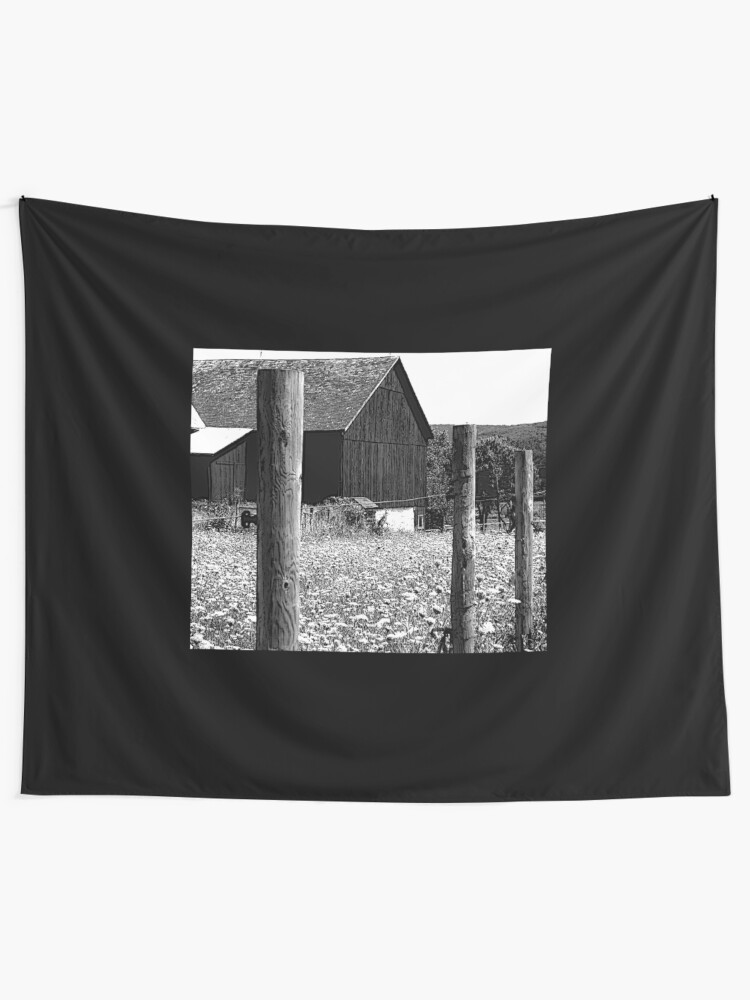 Alternate view of All the Queens Barn /Features Field of Queen Ann Lace/Fence Tapestry