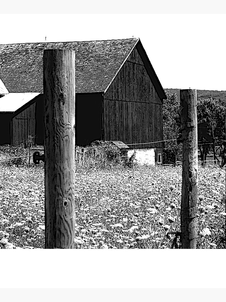 All the Queens Barn /Features Field of Queen Ann Lace/Fence by FranBail