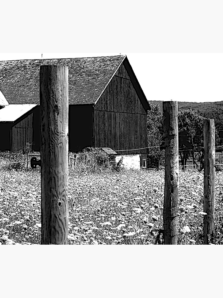 All the Queens Barn /Features Field of Queen Ann Lace/Fence by FranBail