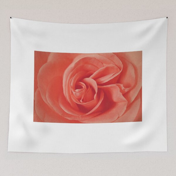 Item preview, A Delicate Rose designed and sold by ellenmpics.