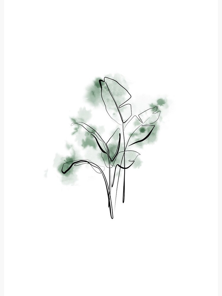 Hull With Leaf In Minimalist Line And Watercolor" Art Board Print By Quadrigam | Redbubble