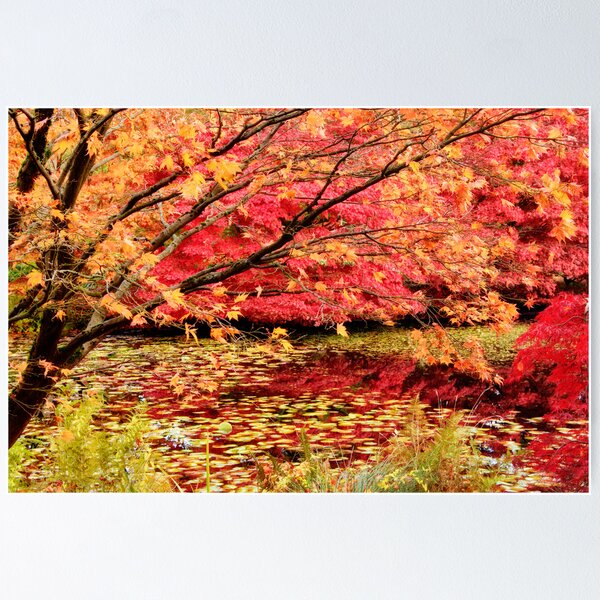 Item preview, Autumn Leaves Over Pond designed and sold by Tracy Riddell.