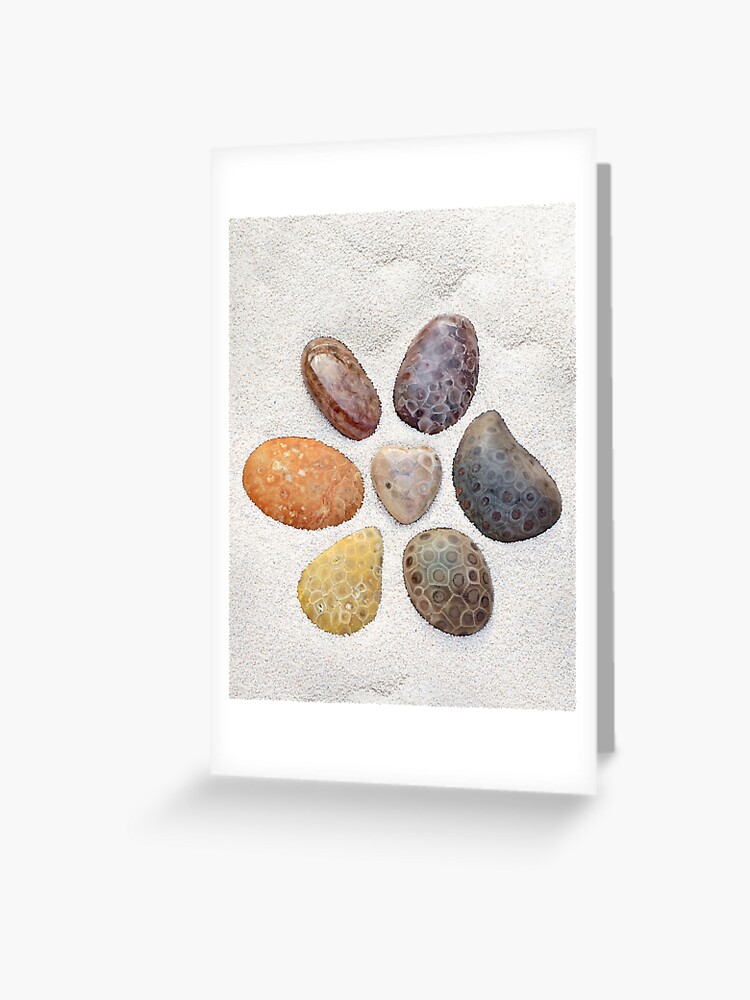 Petoskey Stones from Michigan by Cassandra Tiensivu Greeting Card for Sale  by Cassandra Tiensivu
