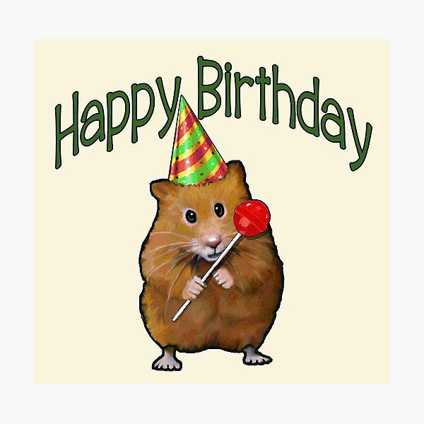 Impression Photo Hamster Joyeux Anniversaire Illustration De Hamster Chapeau De Fete Sucette Rouge Par Joyce Redbubble