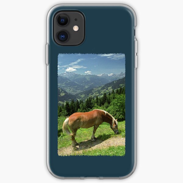 Horse at Kristberg (iPhone case) iPhone Soft Case