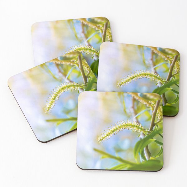 Item preview, Weeping willow spring branch with green new leaf and pollen designed and sold by Grégory DUBUS.