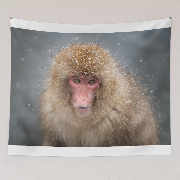 Item preview, Japanese Snow Monkey designed and sold by PhotoArt by Joan Carroll.