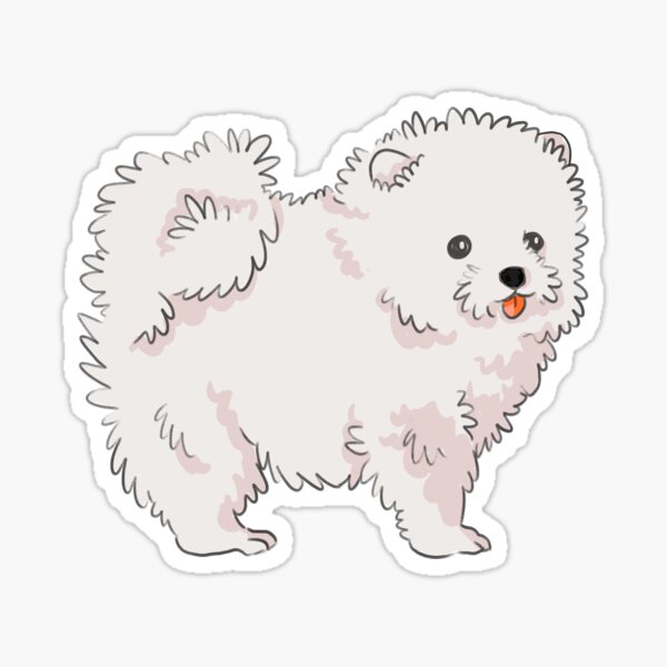 White Pomeranian Sticker