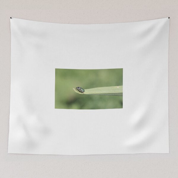 Item preview, Walk the Plank designed and sold by rwhitney22.
