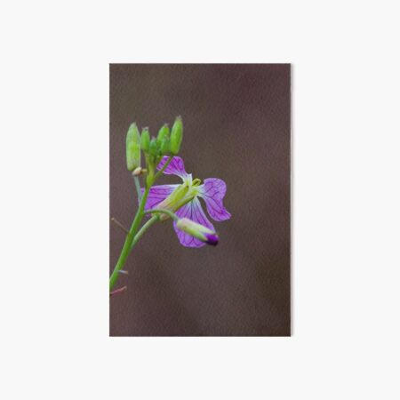 Purple Flower Art Board Print