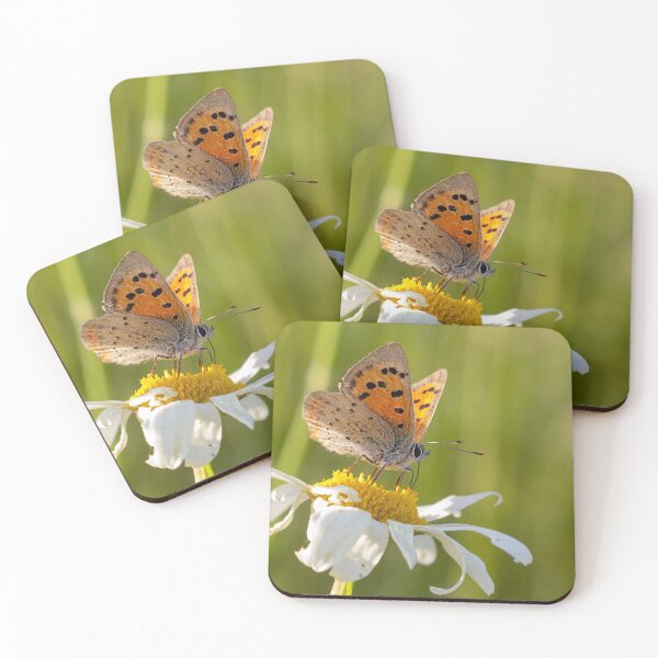 Item preview, Small Copper Butterfly designed and sold by Dan Newton.