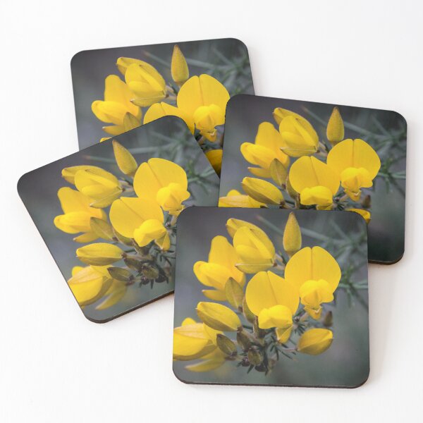 Item preview, Ulex designed and sold by JEZ22.