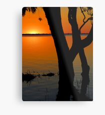 Lake Pammamaroo NSW Metal Print