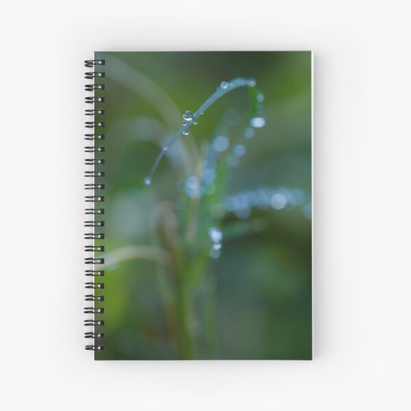 Water drops on leaves (2) Spiral Notebook