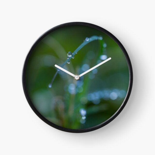 Water drops on leaves (2) Clock