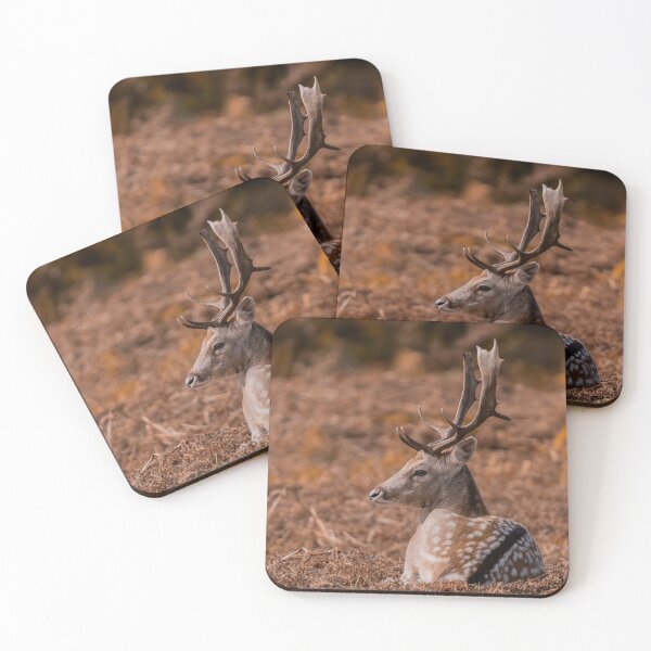 Item preview, Fallow Deer Stag in Autumn designed and sold by Dan Newton.