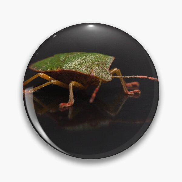 Item preview, Green Shieldbug Portrait designed and sold by Dan Newton.