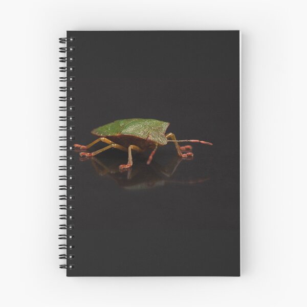 Item preview, Green Shieldbug Portrait designed and sold by Dan Newton.