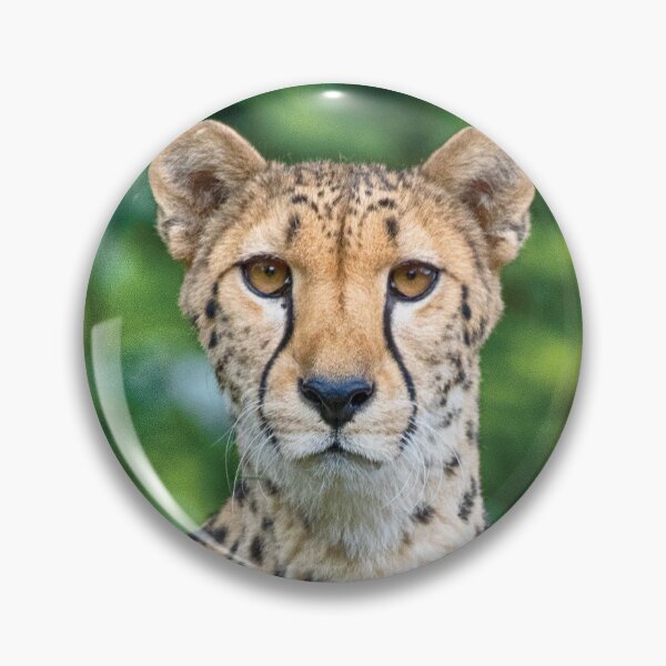 Item preview, Acinonyx jubatus designed and sold by Mythos57.