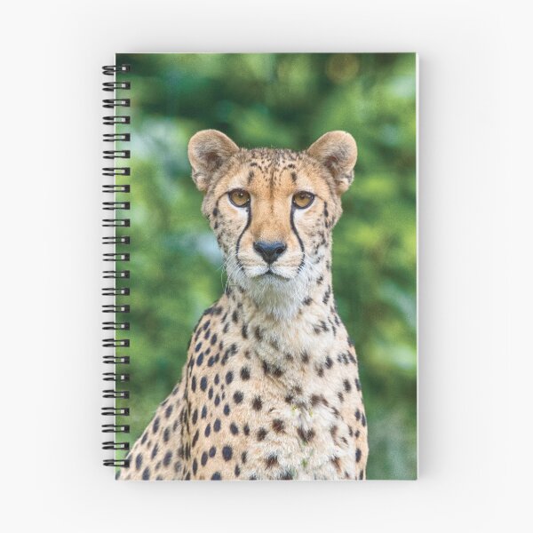 Artikelvorschau, Acinonyx jubatus entworfen und verkauft von Mythos57.