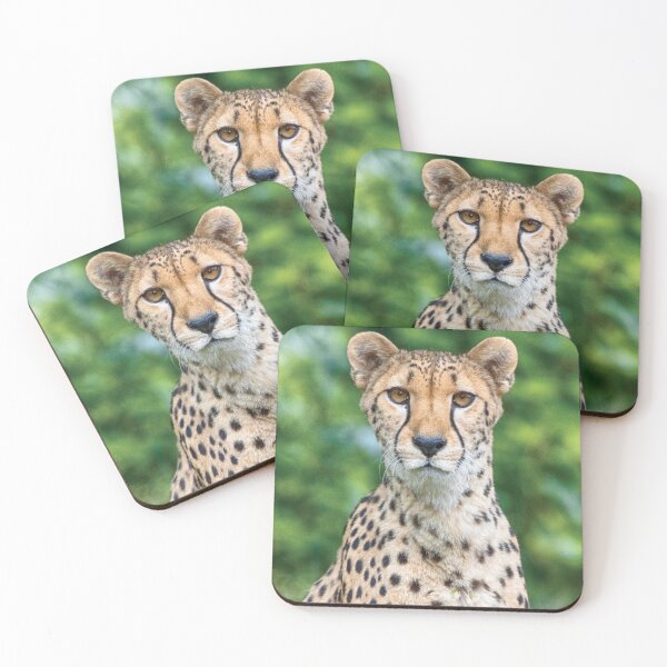 Item preview, Acinonyx jubatus designed and sold by Mythos57.