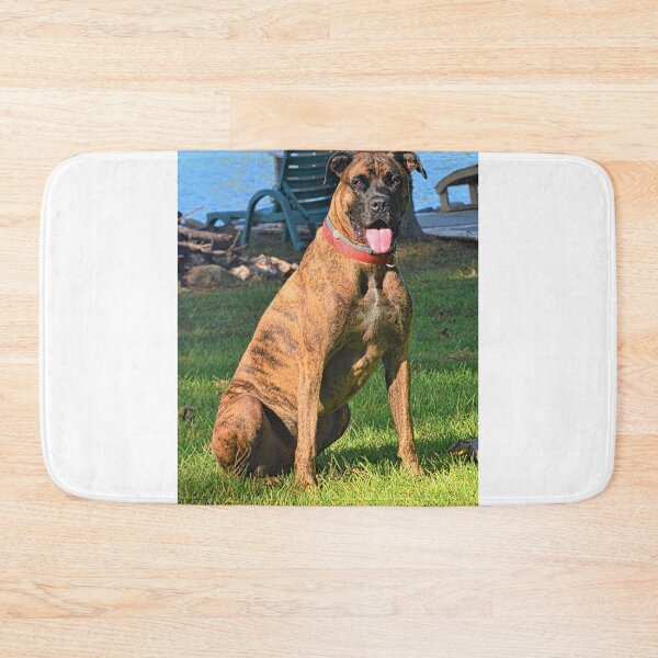 Item preview, My Beautiful Brindle designed and sold by LisaWootenPhoto.