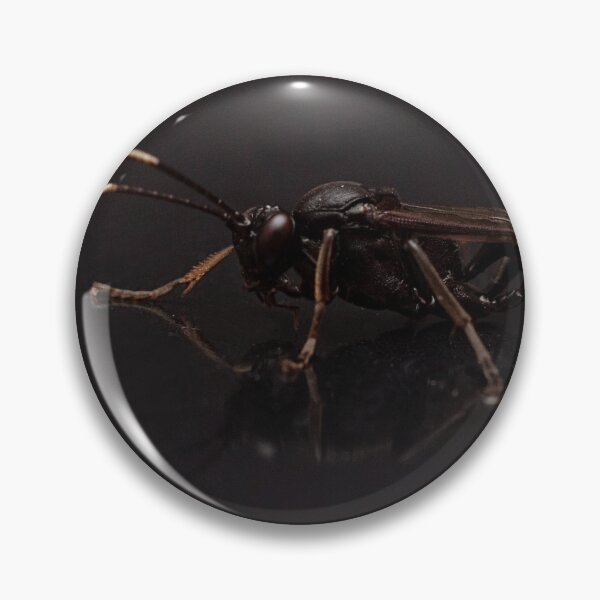 Item preview, Stenichneumon culpator Portrait designed and sold by Dan Newton.