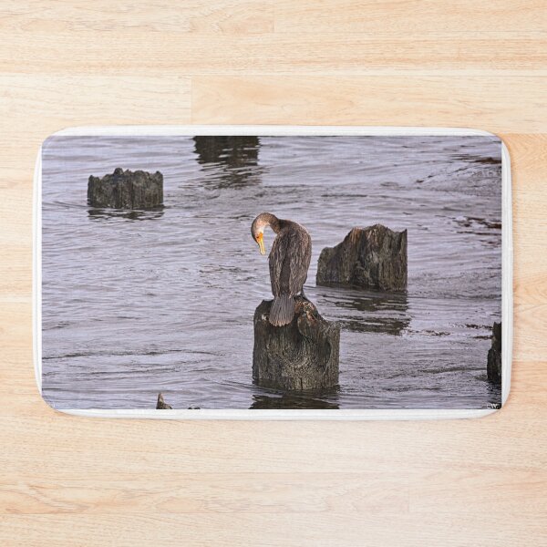 Item preview, A Perched Cormorant designed and sold by LisaWootenPhoto.