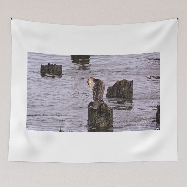 Item preview, A Perched Cormorant designed and sold by LisaWootenPhoto.