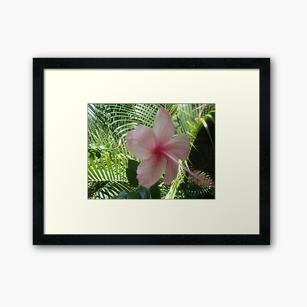 Ray of sunshine Framed Art Print