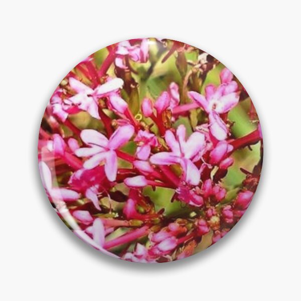 Item preview, ALLIATA 1 pink valerian flower garden nature plant star macro photo designed and sold by dragonemma.