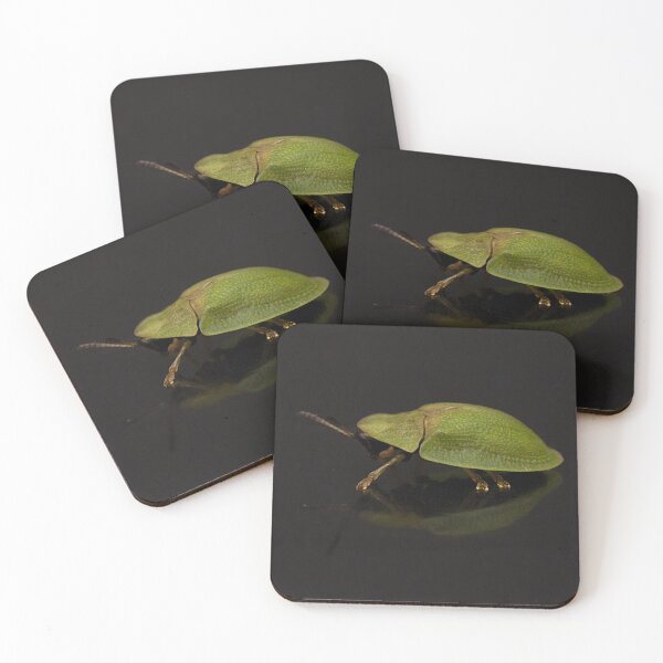 Item preview, Green Tortoise Beetle Portrait designed and sold by Dan Newton.
