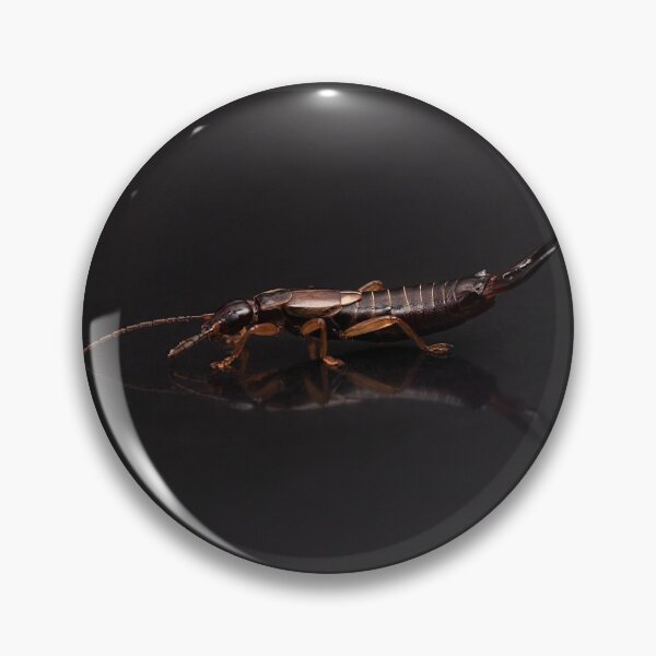 Item preview, European Earwig Portrait designed and sold by Dan Newton.
